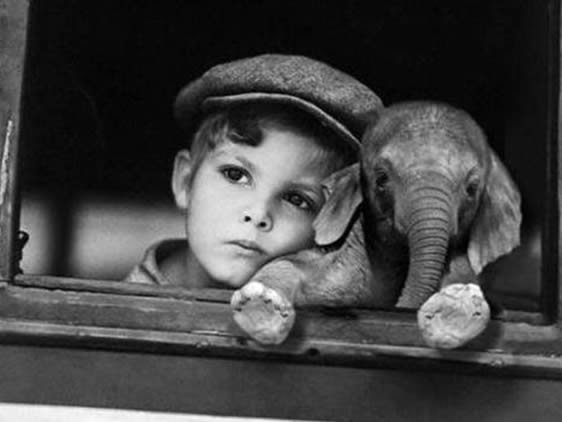 Niño solitario pensativo Como afecta el divorcio a los niños